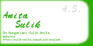 anita sulik business card